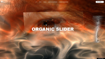 Organic Slider WordPress and WooCommerce Plugin Screenshot 1